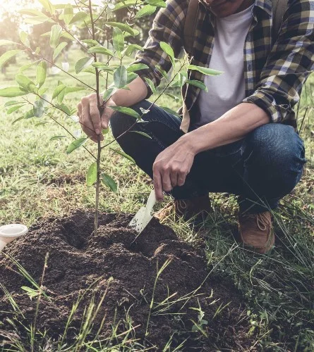 Ingyenes facsemeteosztás