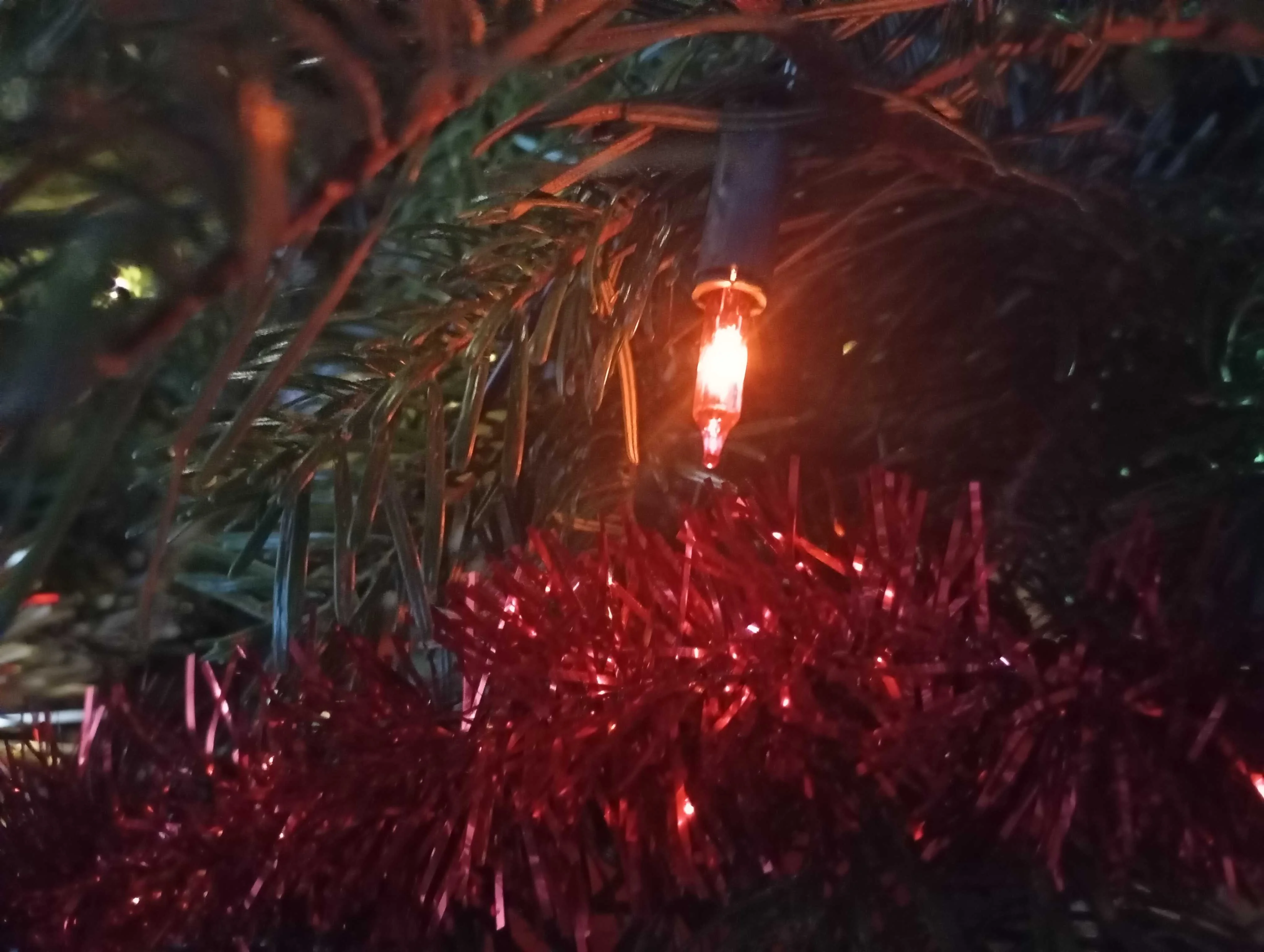 karáacsonyfa ego ducsai